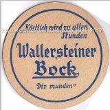 wallerstein (12).jpg